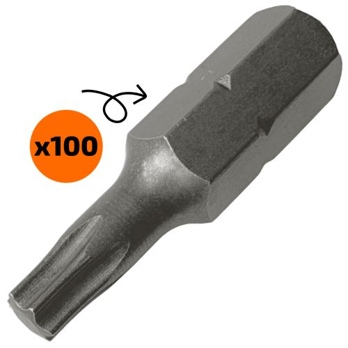Torx 20 bitjes 100 stuks