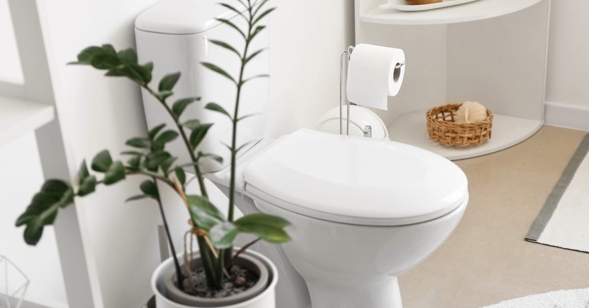 Wc pot kitten