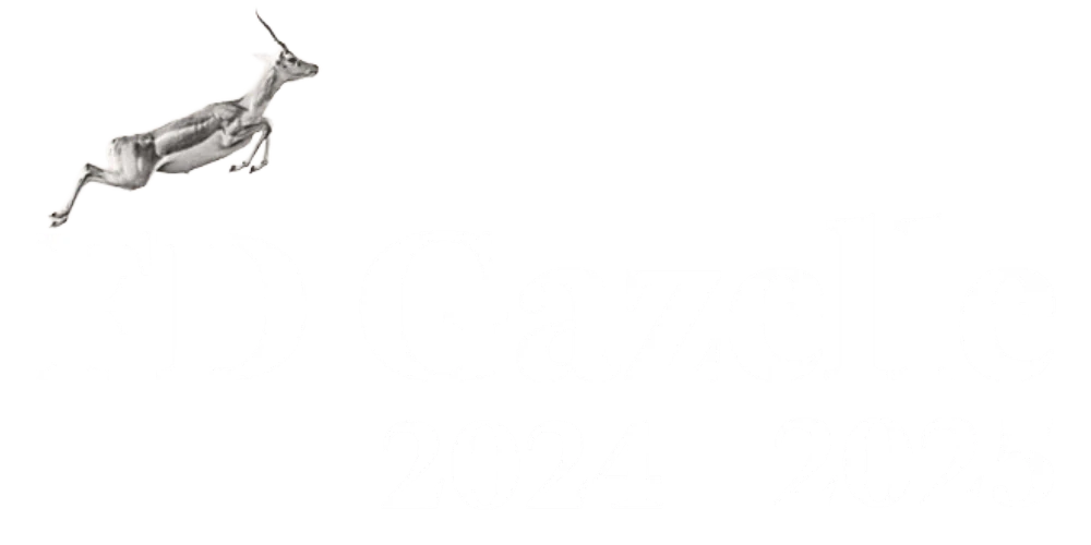 FD Gazelle 2025-2025