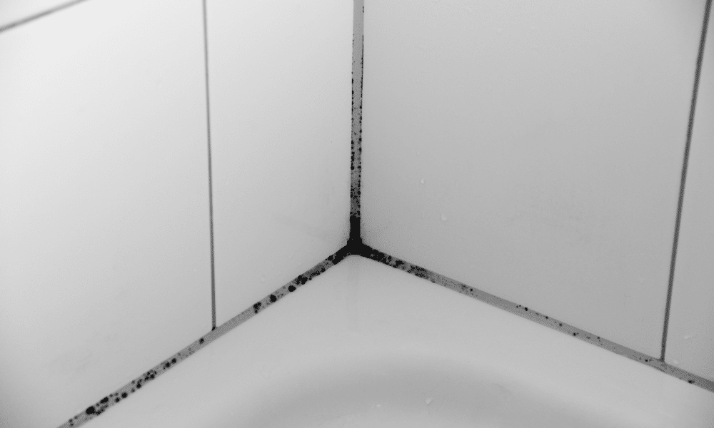 Schimmel in kit badkamer