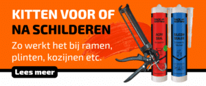Kitten voor of na het schilderen