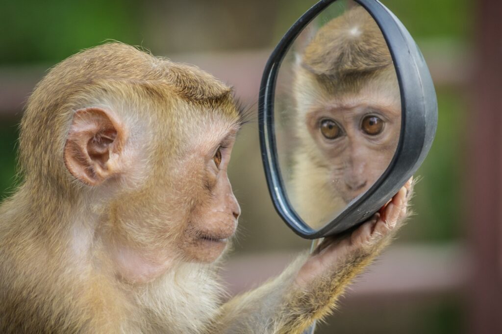Autospiegel - achteruitkijkspiegel of buitenspiegel - lijmen met secondelijm